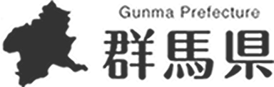 Logo 21